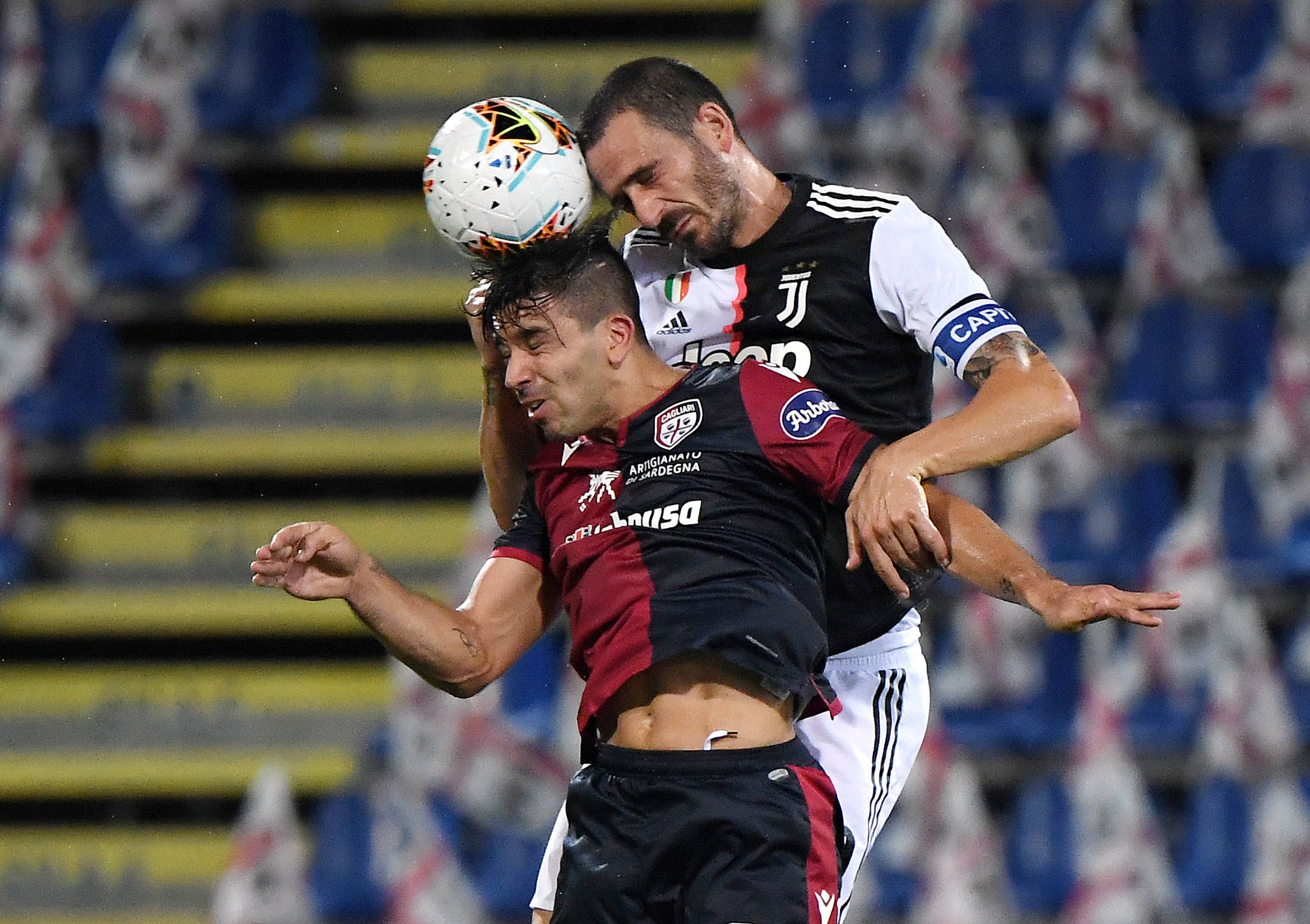 国内外赛场 国内外赛场