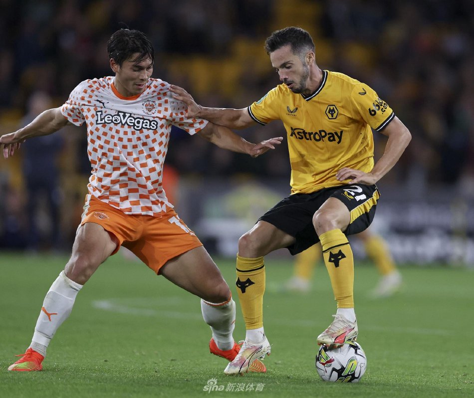 群雄逐鹿 群雄逐鹿